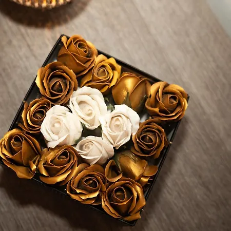 Residenza Longhena Appartamento